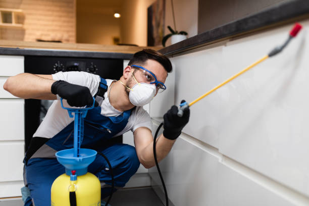 Best Emergency Pest Control  in Richmond, TX