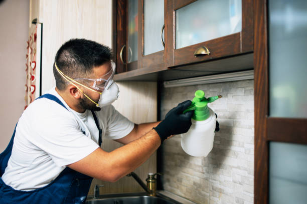 Best Pest Control Near Me in Richmond, TX