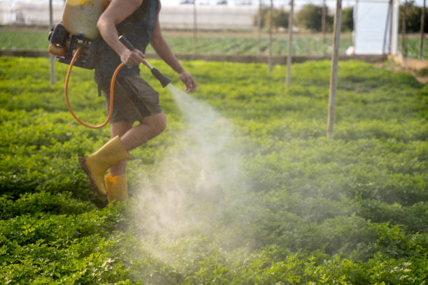 Best Pest Removal Services  in Richmond, TX