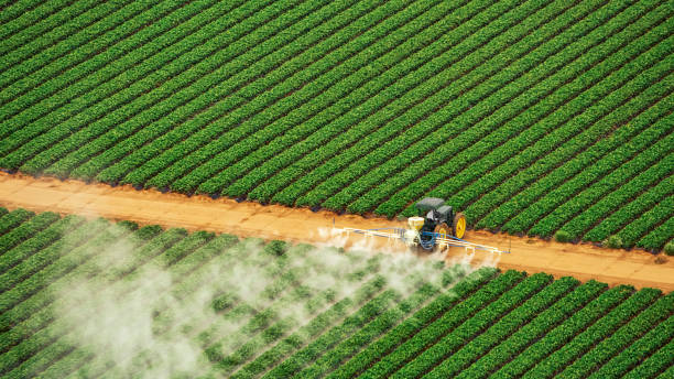 Pest Control Cost in Richmond, TX