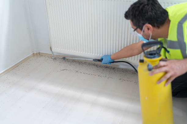 Best Mosquito Control Services  in Richmond, TX